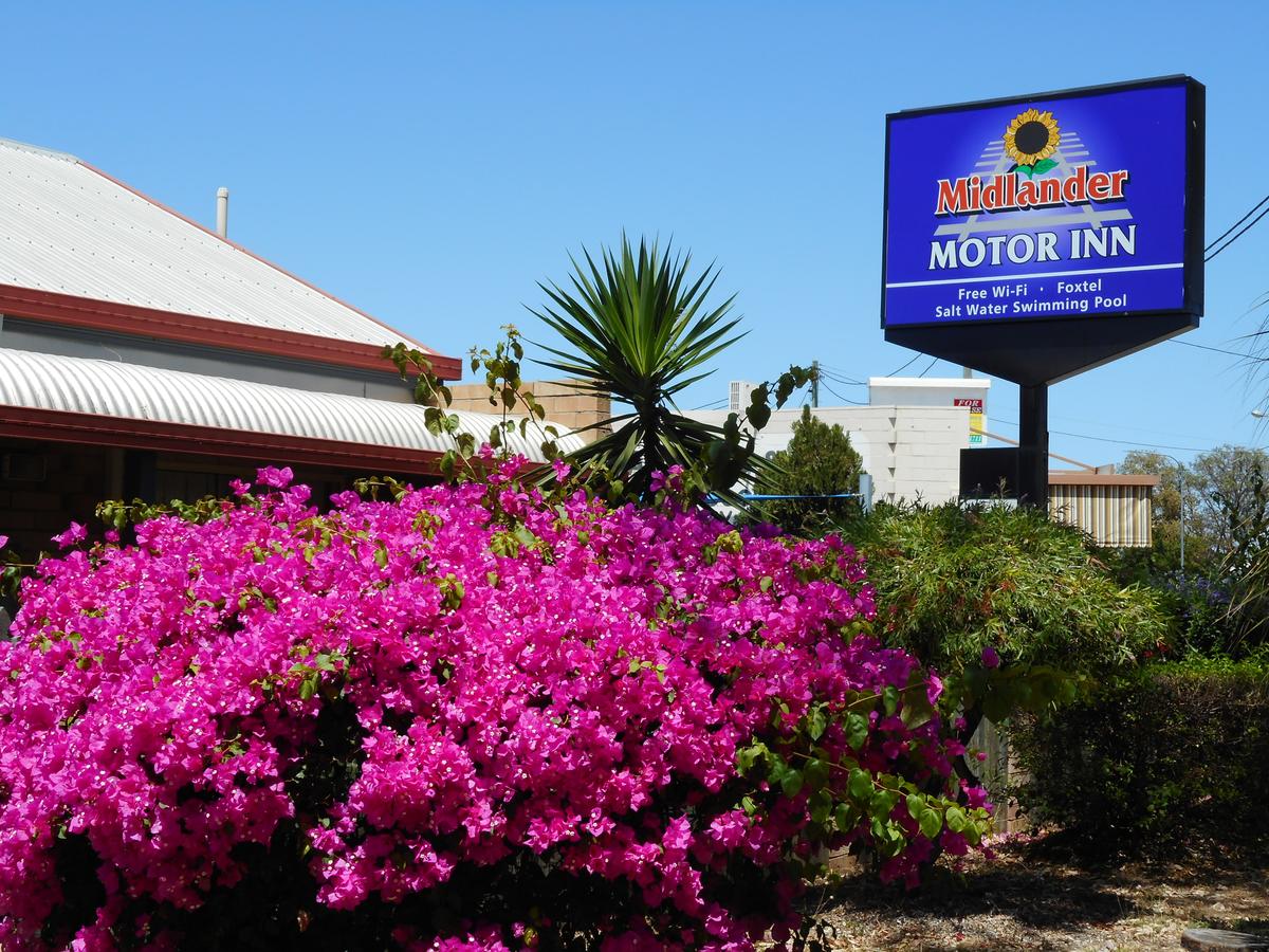 Midlander Motor Inn - Accommodation Adelaide