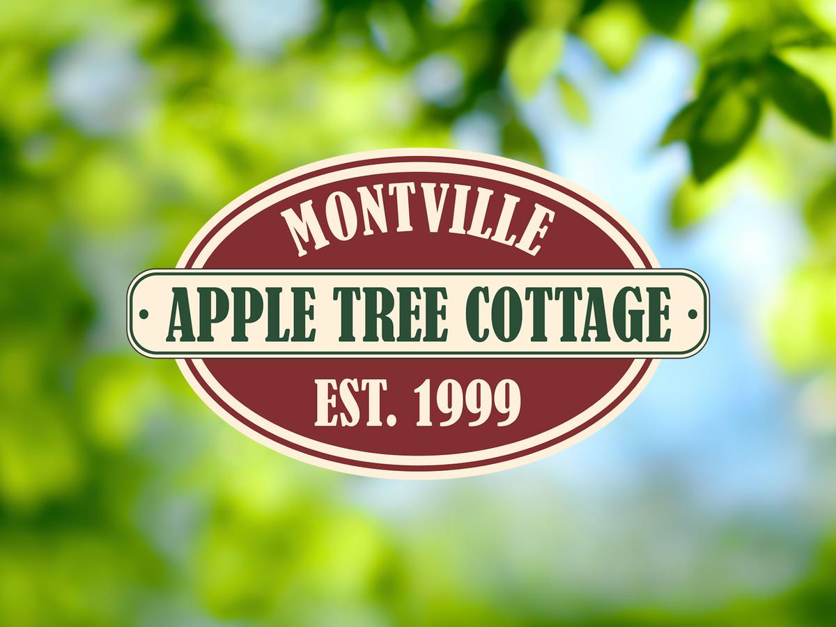 Apple Tree Cottage and Studio - Accommodation BNB
