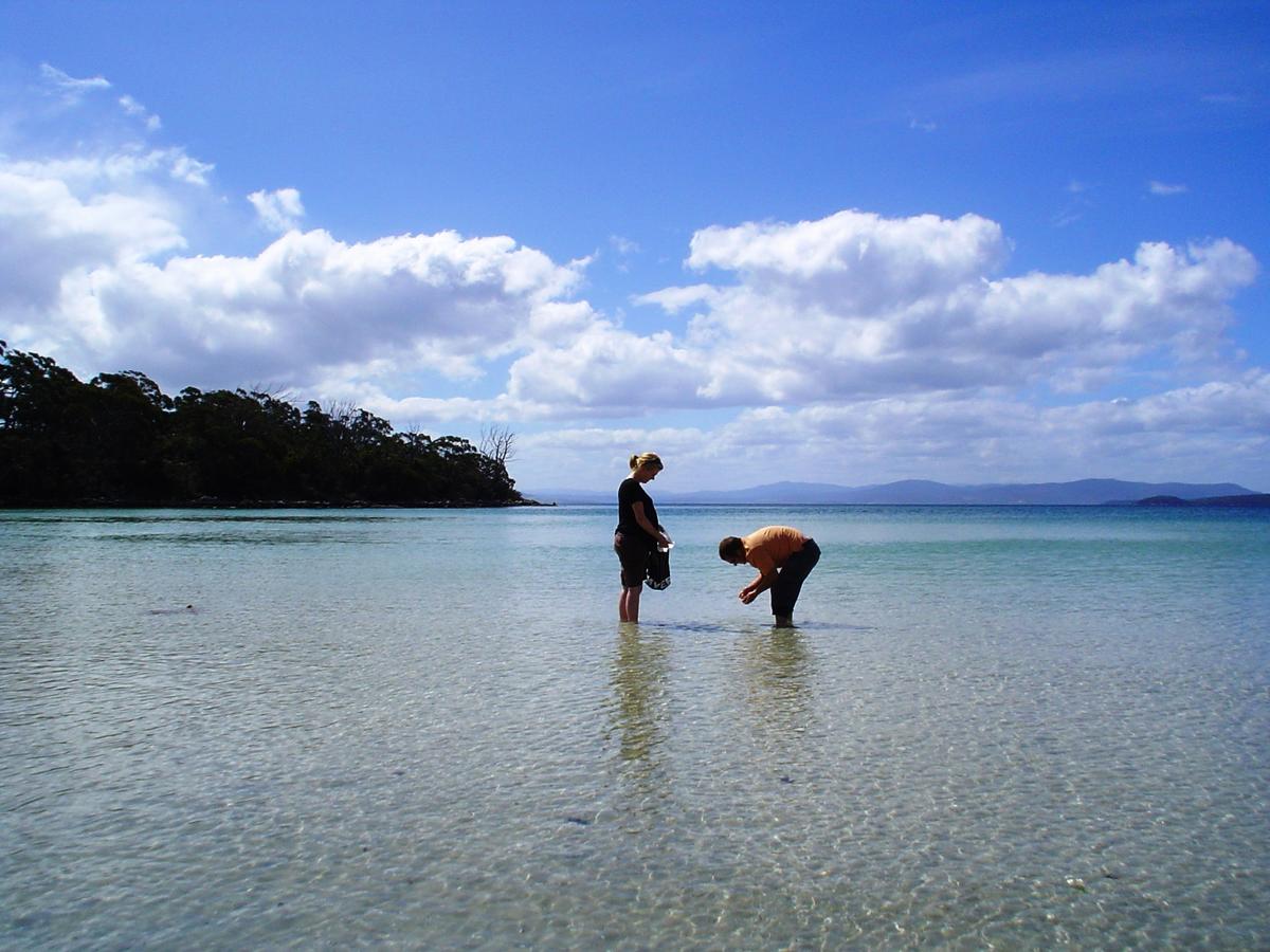 Bruny Island Escapes And Hotel Bruny - thumb 36