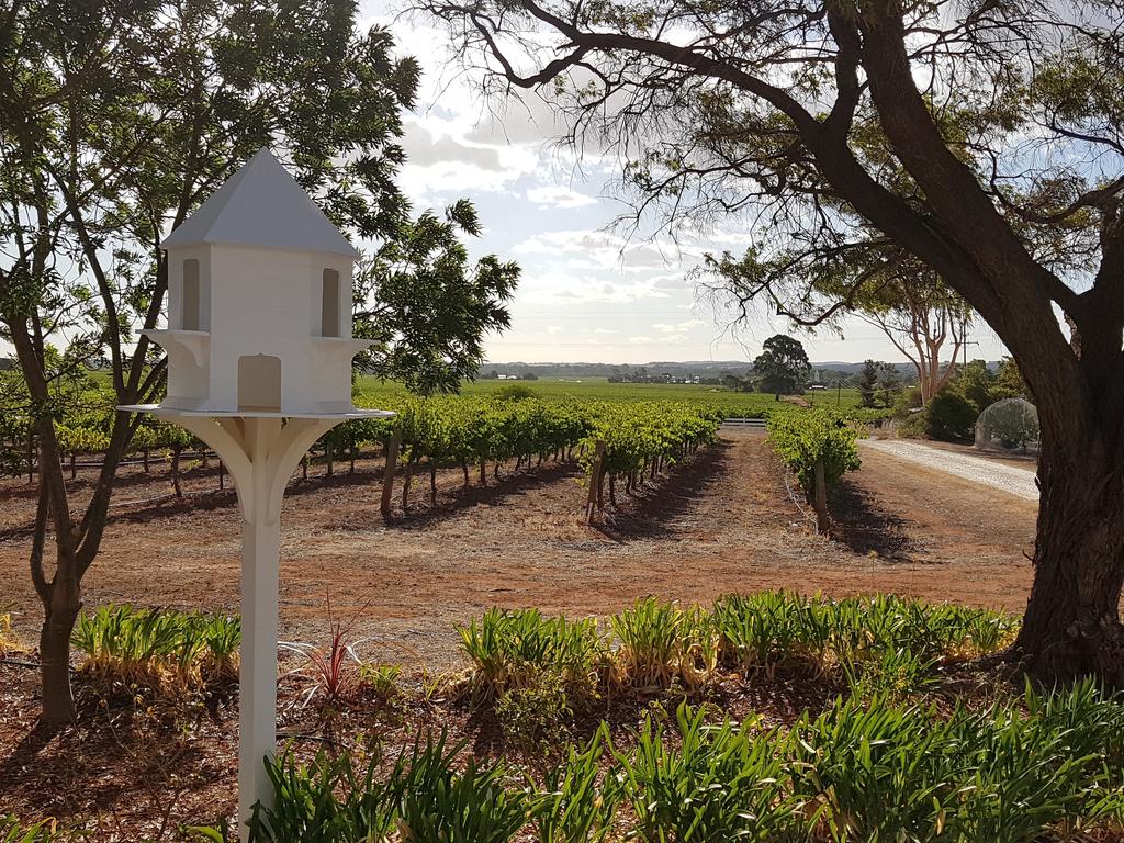 'In The Vines' Guest Cottage, Barossa Valley - Accommodation ACT 0