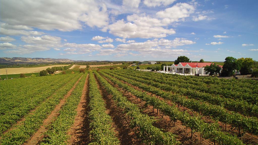 1837 Barossa Luxury Vineyard Cottages - New South Wales Tourism 