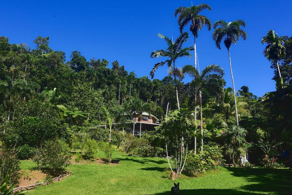 A Daintree Garden - Accommodation Guide