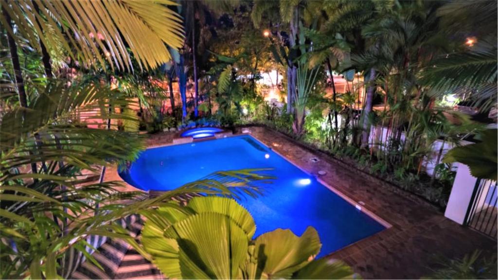 A Taste of the Tropics - Accommodation Airlie Beach