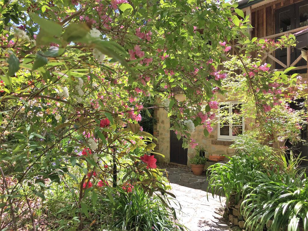 Adelaide Hills 'Camellia Cottage' - WiFi - thumb 2