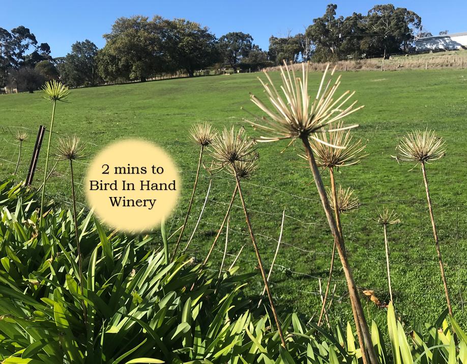 Adelaide Hills Escape - Mount Gambier Accommodation