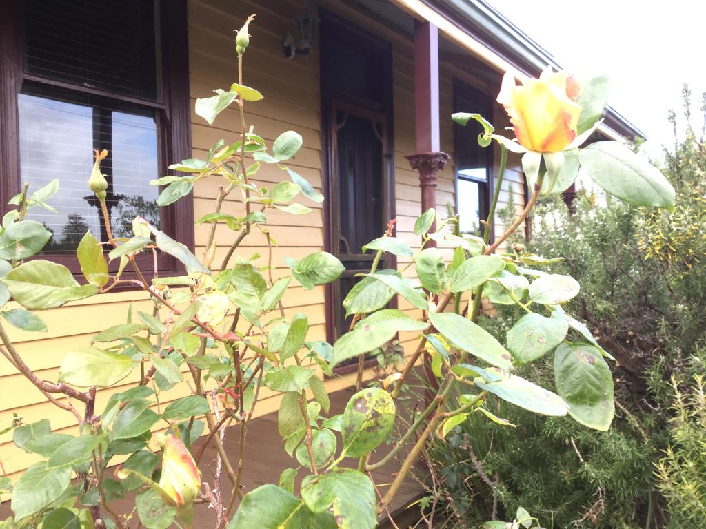 Albion Cottage - Accommodation Adelaide