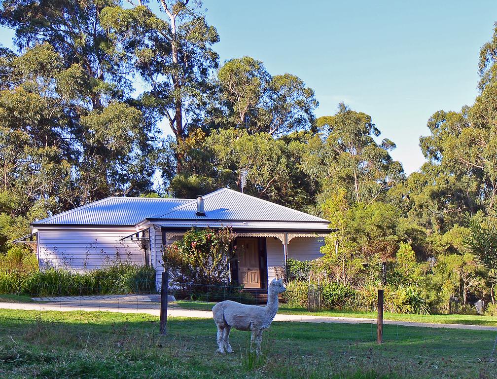 Araluen Park Cottages - Accommodation in Bendigo