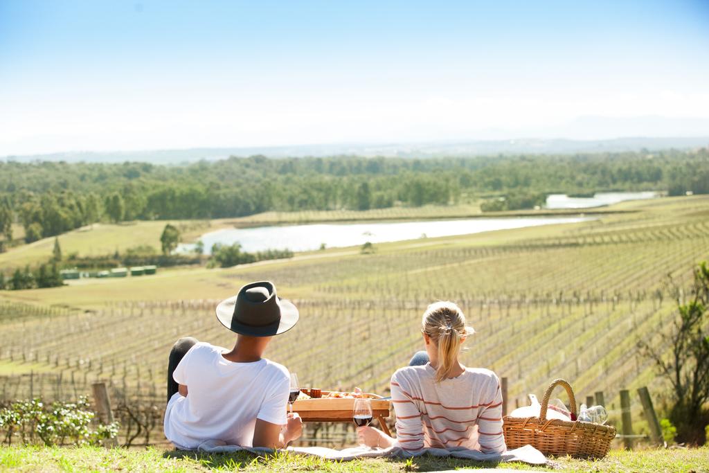 Audrey Wilkinson Vineyard - New South Wales Tourism 