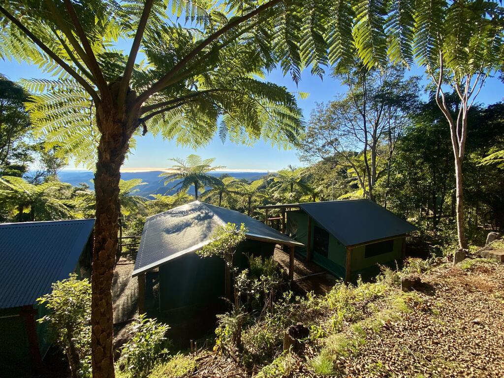 Binna Burra Rainforest Campsite - thumb 2