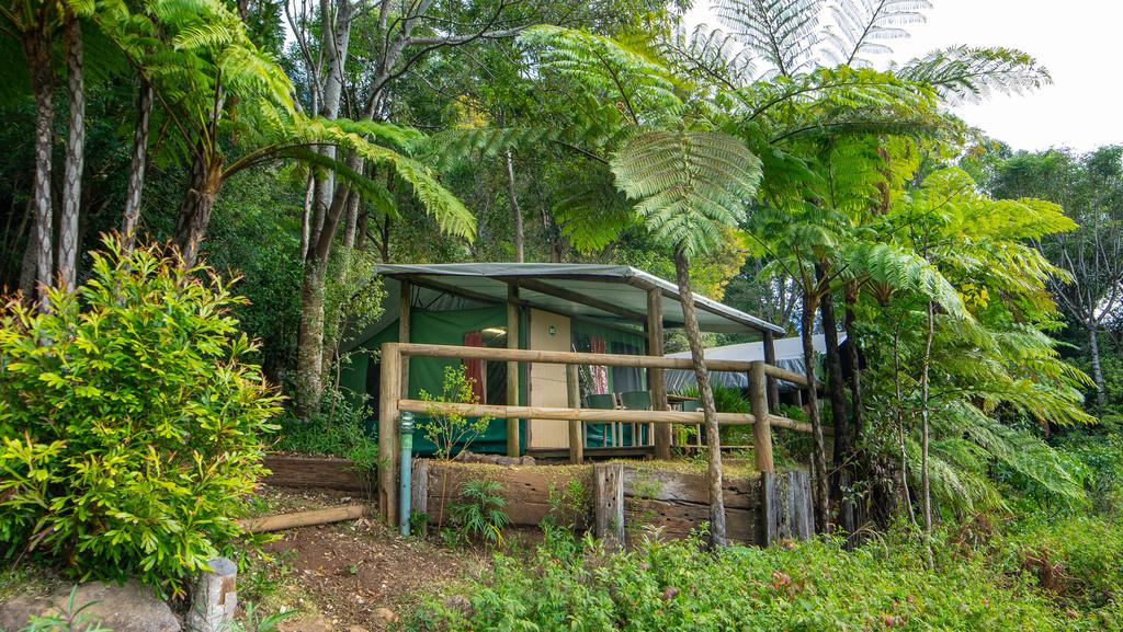 Binna Burra Rainforest Campsite - South Australia Travel