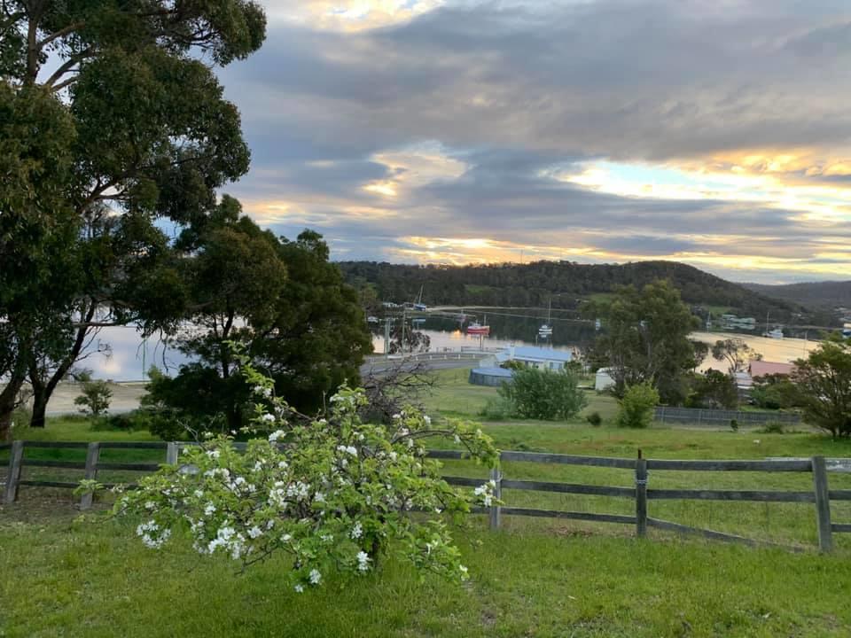 Blossoms on the Bay - Nubeena - New South Wales Tourism 