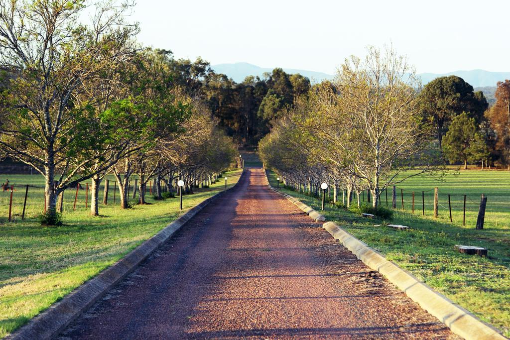 Blueberry Hill Vineyard Villa - New South Wales Tourism 