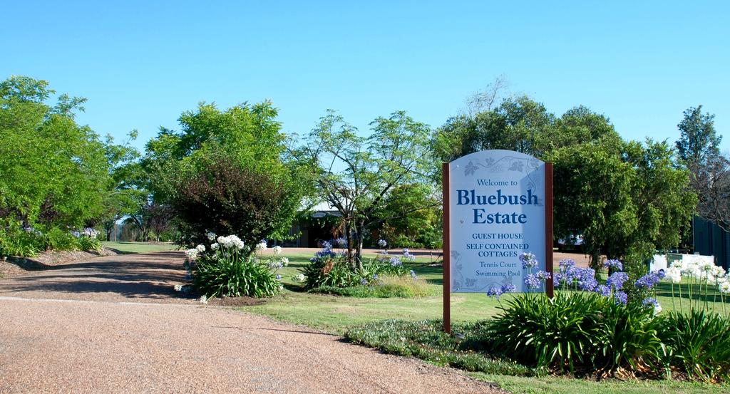 Bluebush Estate - thumb 0