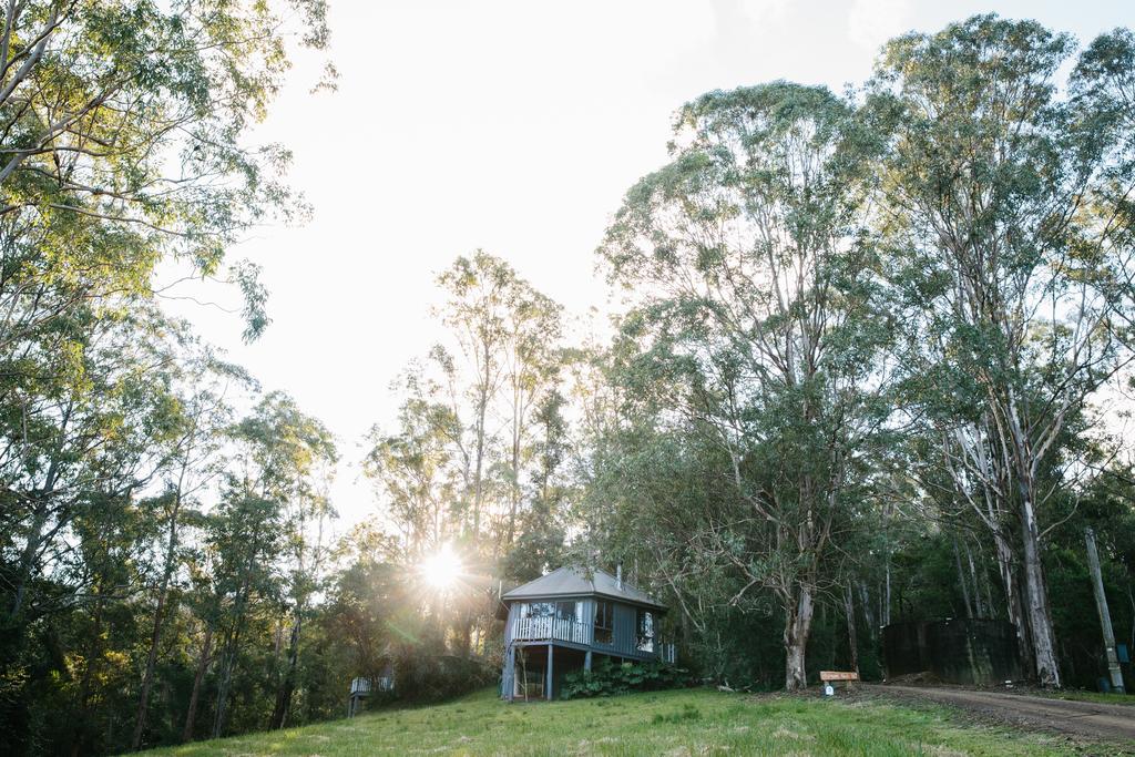 Bluegums Cabins - Accommodation Guide