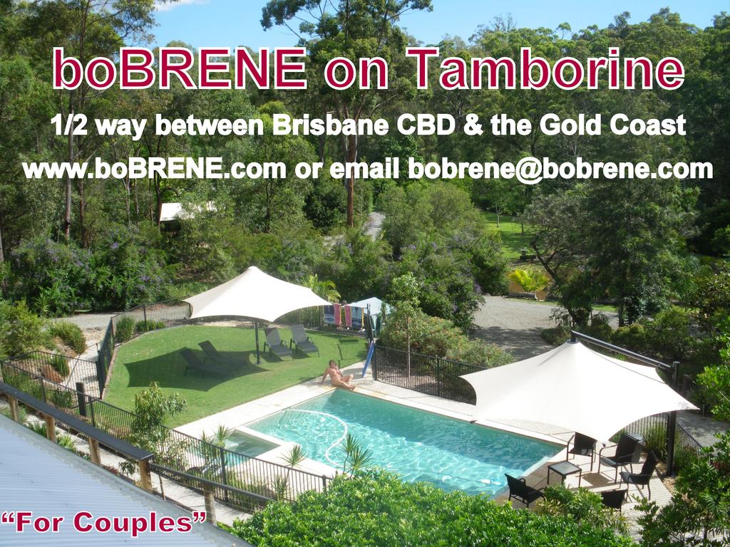 boBRENE on Tamborine Nude Retreat - Quaint Cottage - Surfers Gold Coast