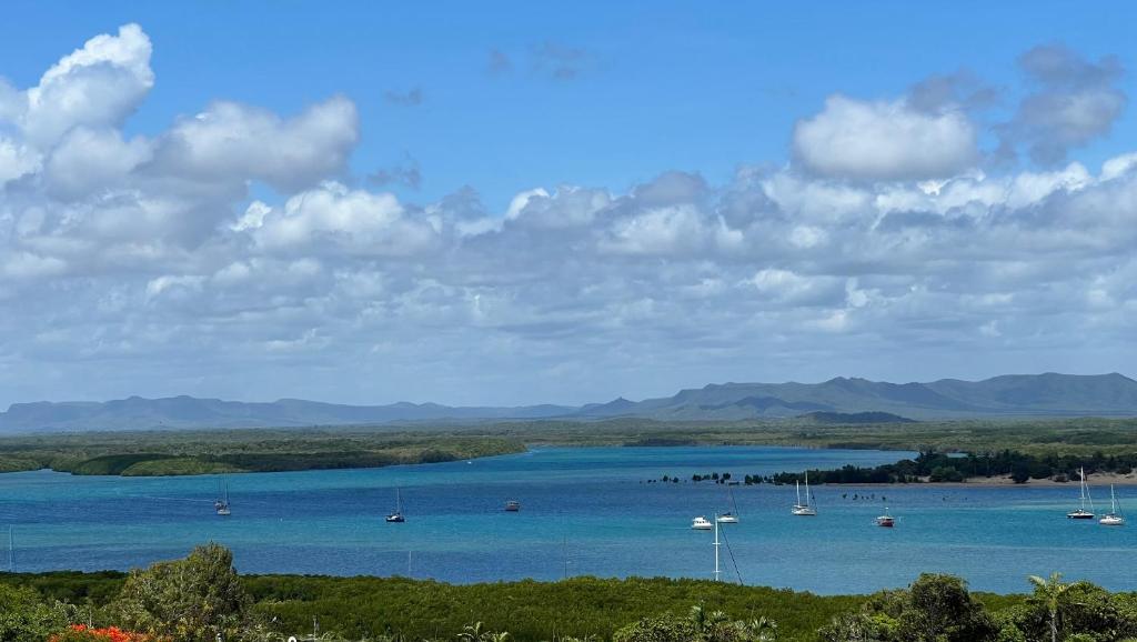 The Orchid Suite - Apartment In Cooktown